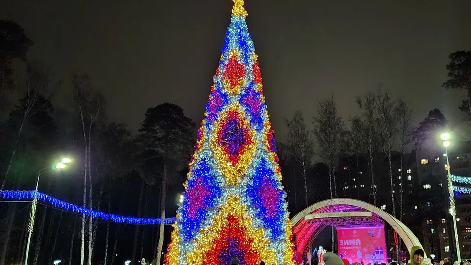 Фото: Ольга Аввакумова