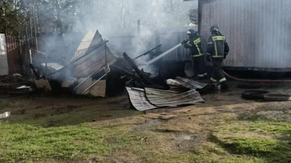 Фото: ГКУ МО «Мособлпожспас»