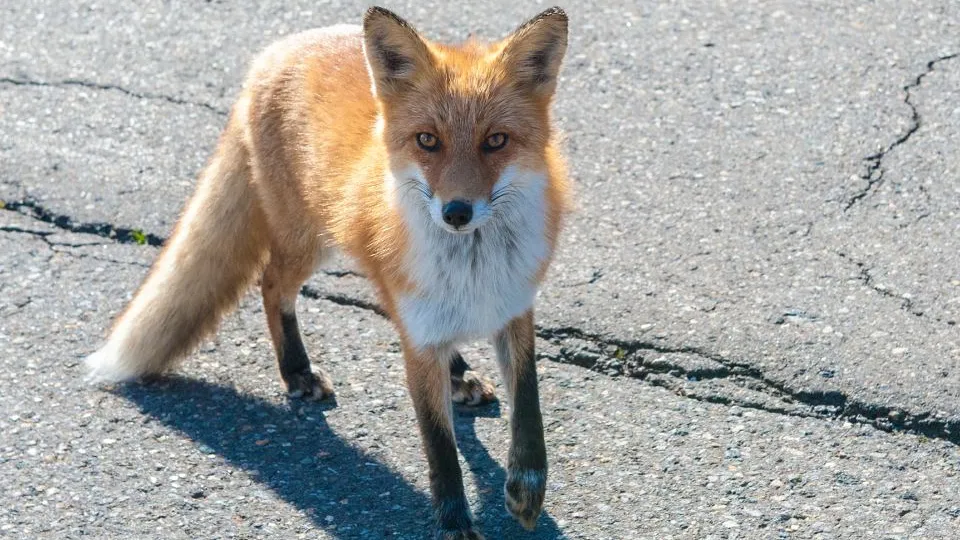 Фото: istockphoto.com