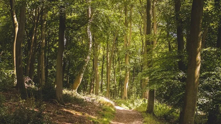 Фото: freepik.com