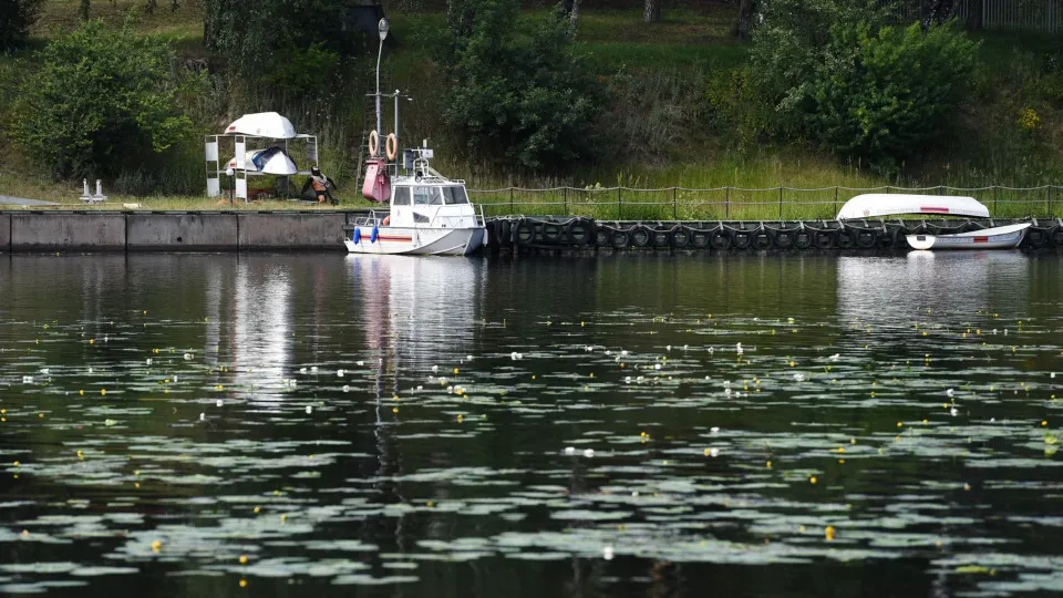 Фото: медиасток.рф