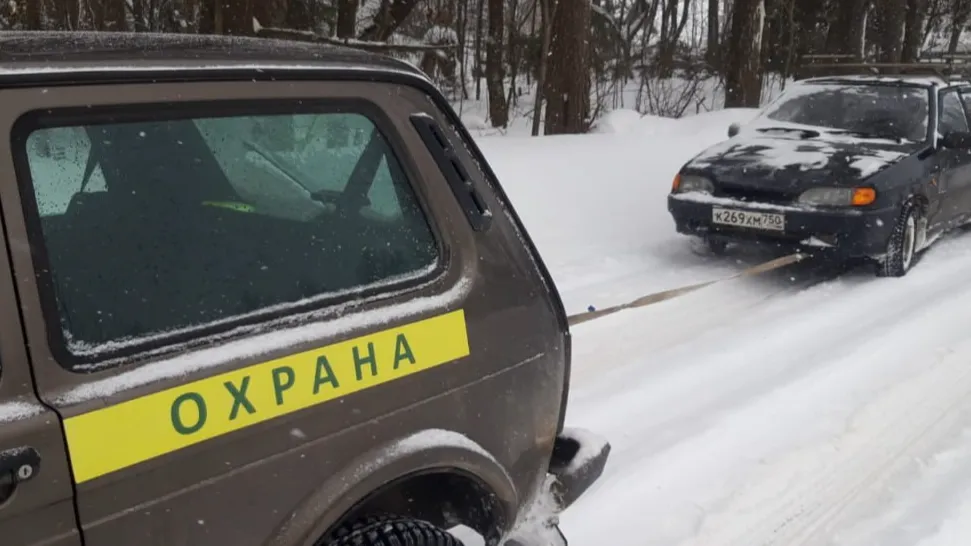 Канал ГКУ МО «Мособллес»