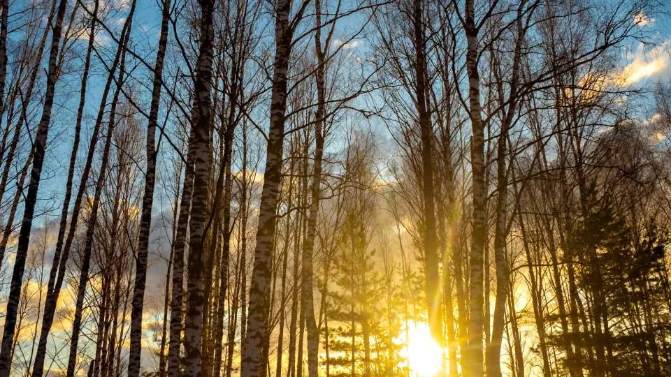 Фото: МедиаБанк Подмосковья/Дарья Леонова