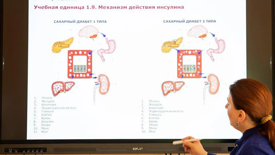 Фото: Министерство здравоохранения Московской области