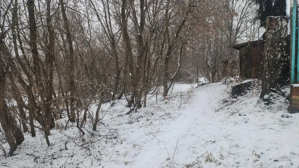 Фото: REGIONS/Алена Притула