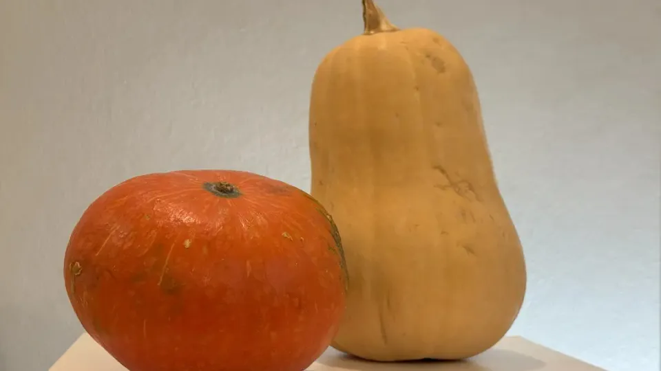 Фото: REGIONS/Илья Попов