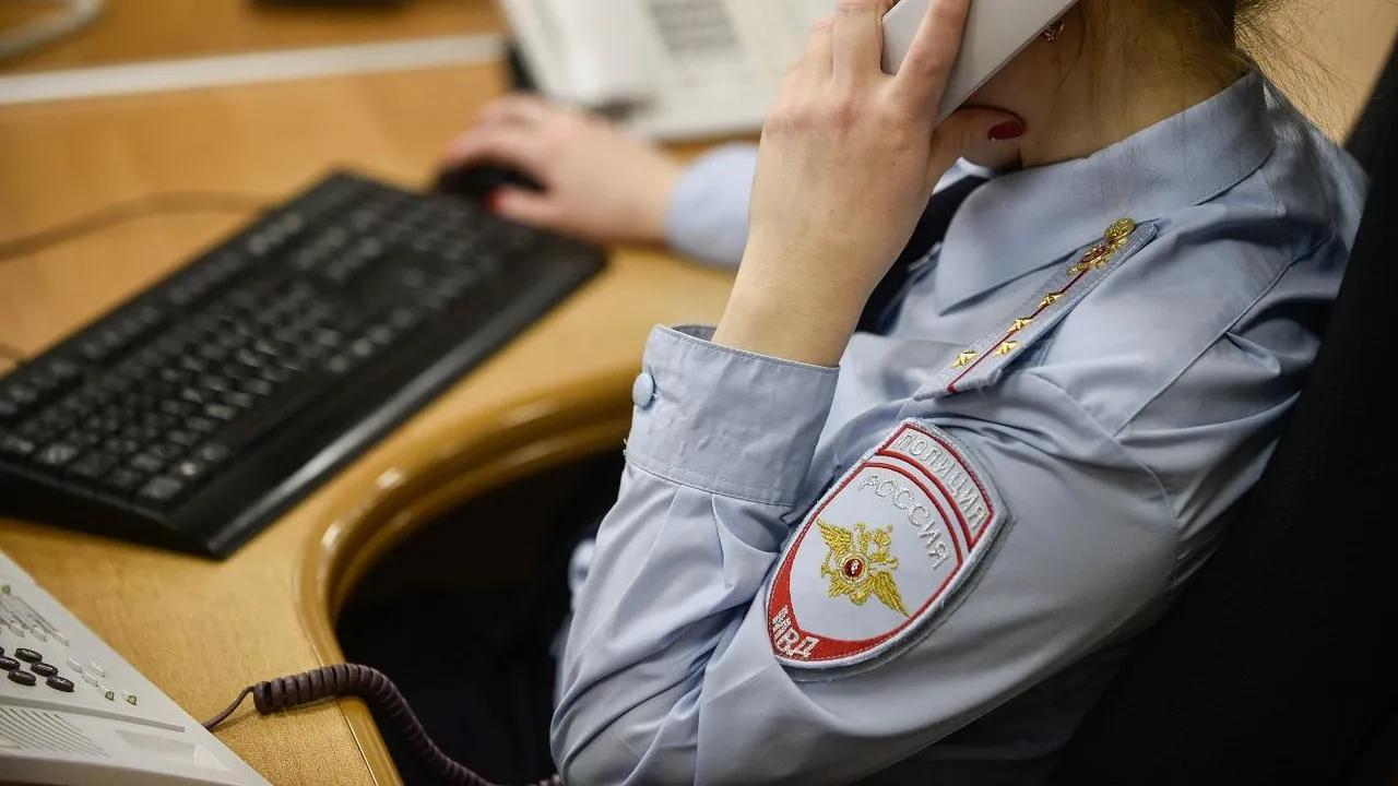 Против голого водителя, предлагавшего девочке сесть к нему в авто, возбудили дело — СМИ