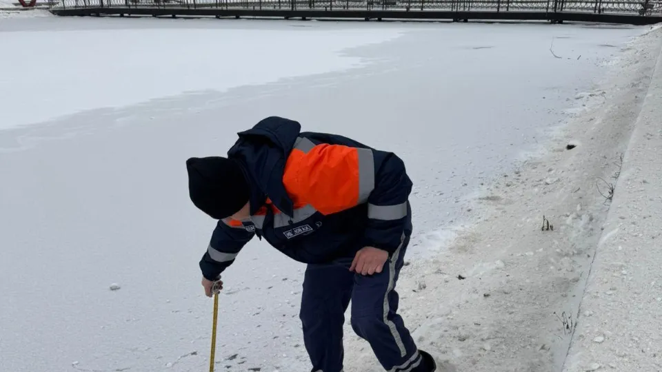 Фото: Администрация г.о. Чехов