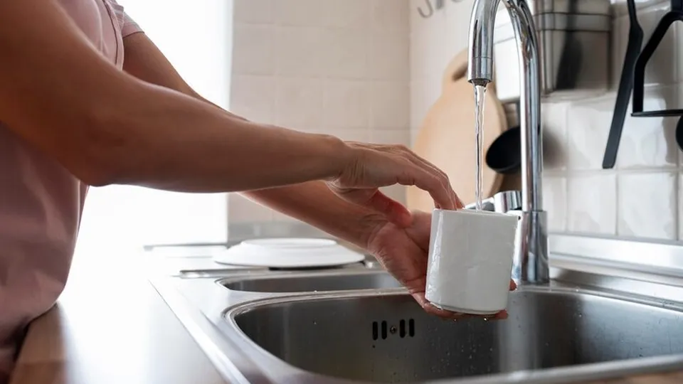 Фото: freepik.com