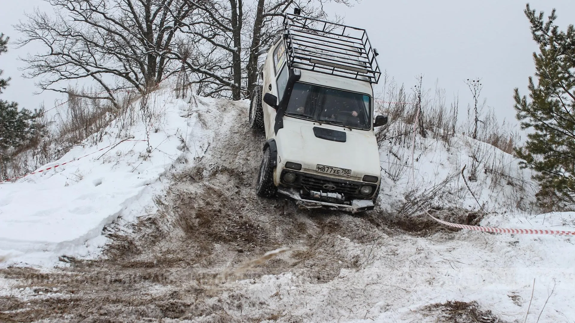 Фото: Ступинское информагентство