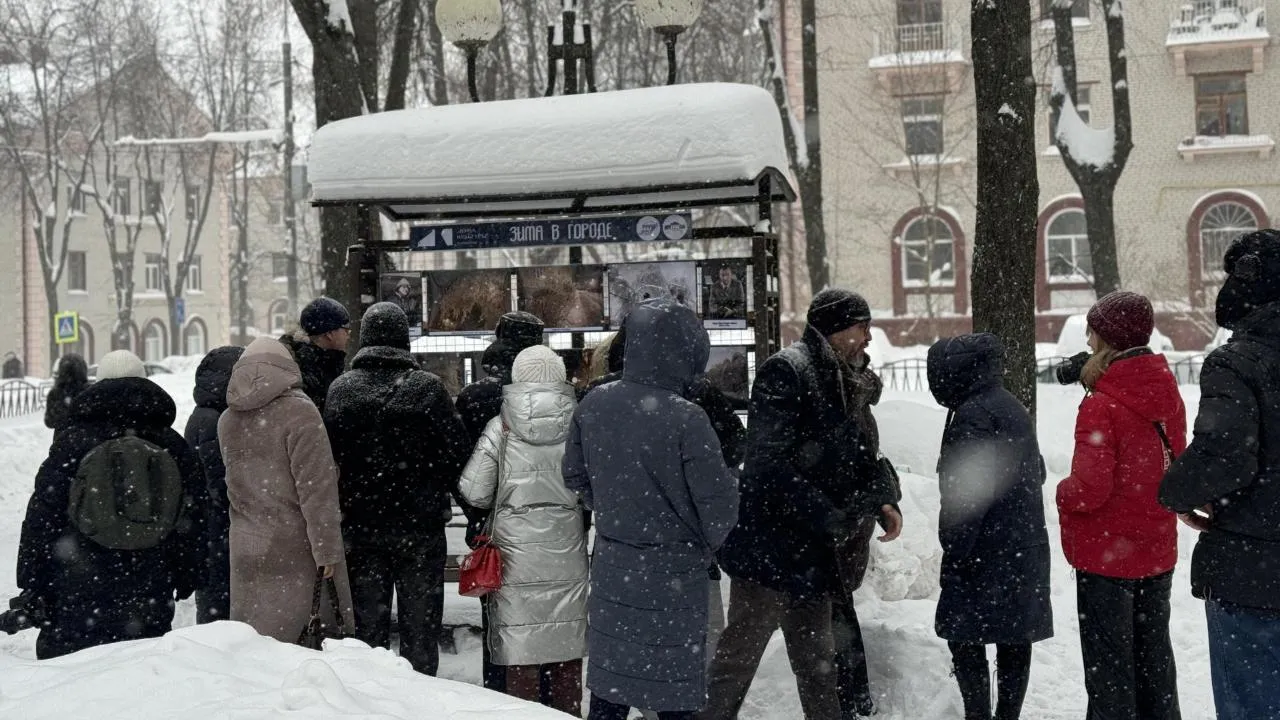 Полина Абраменко