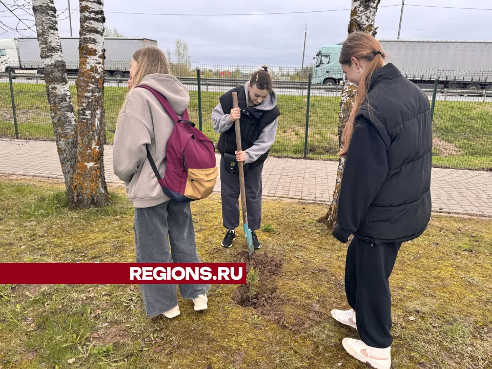 Фото: Татьяна Рунова