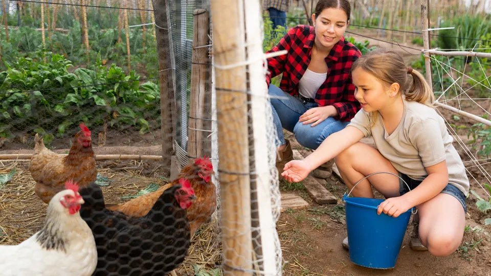 Фото: istockphoto.com