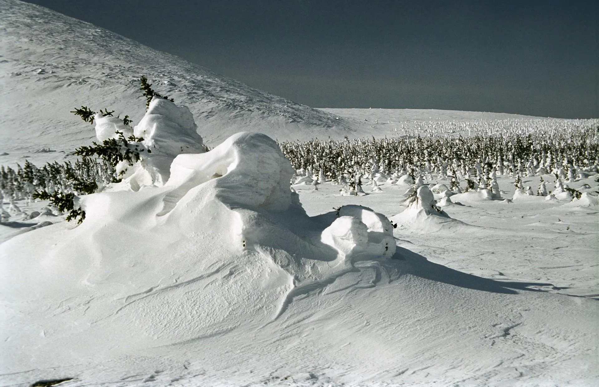 Valery Lukyanov/Russian Look