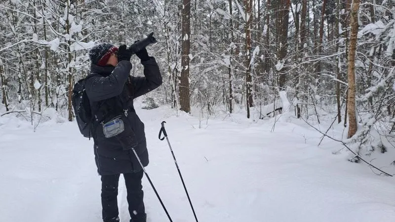 Н. Бондарева