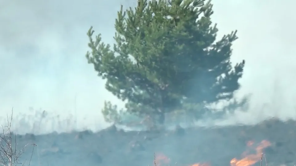 Фото: REGIONS/Наталия Надточая