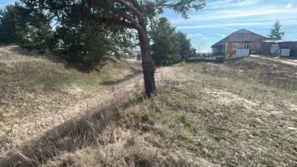 Фото: Единый портал торгов Московской области