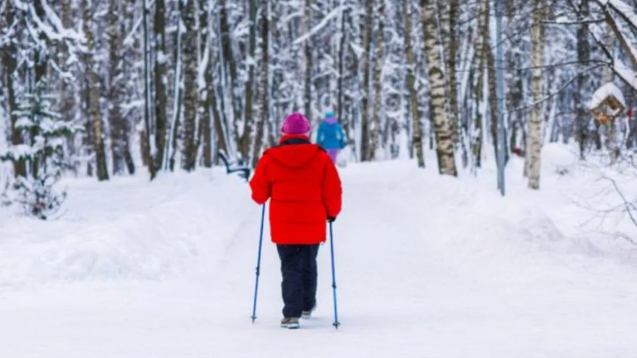 Фото: медиасток.рф