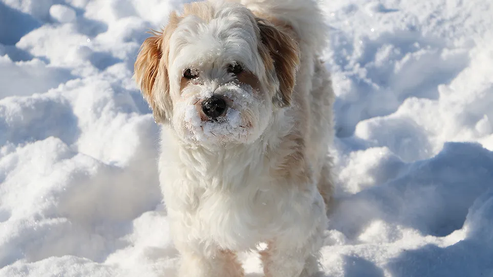 Фото: freepik.com