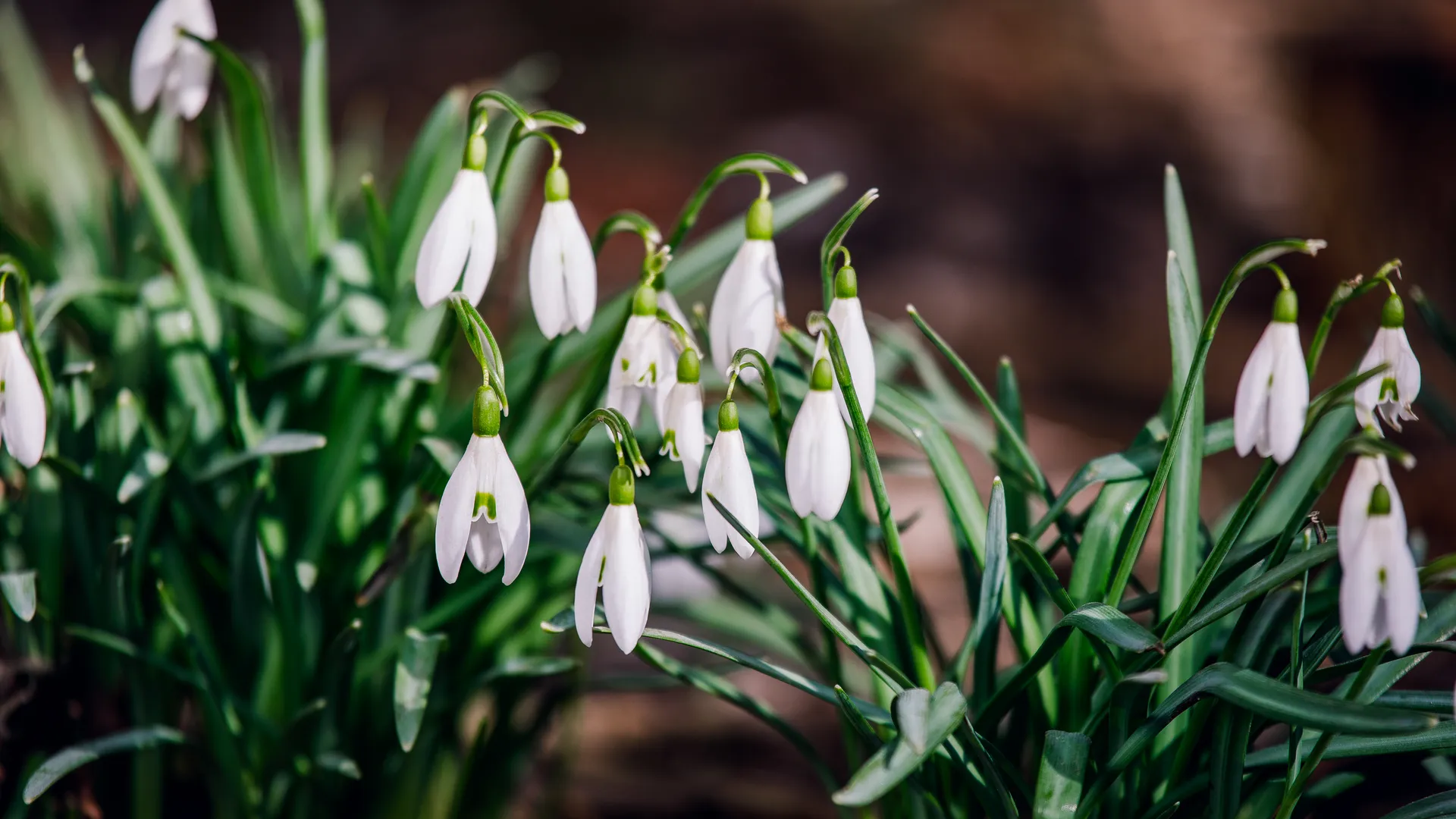 медиасток.рф