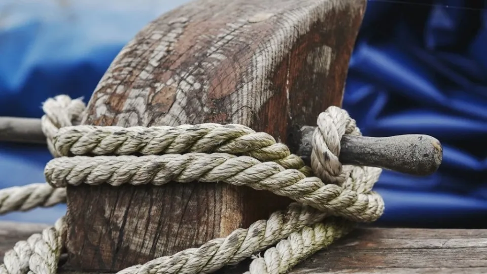 Фото: freepik.com