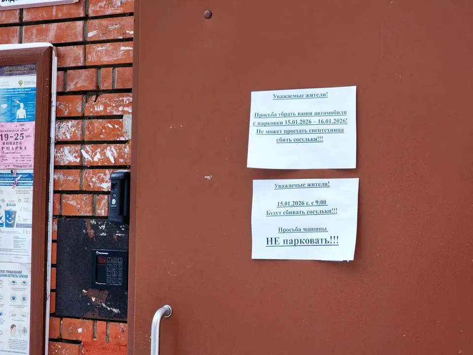 Фото: Мария Овчинникова