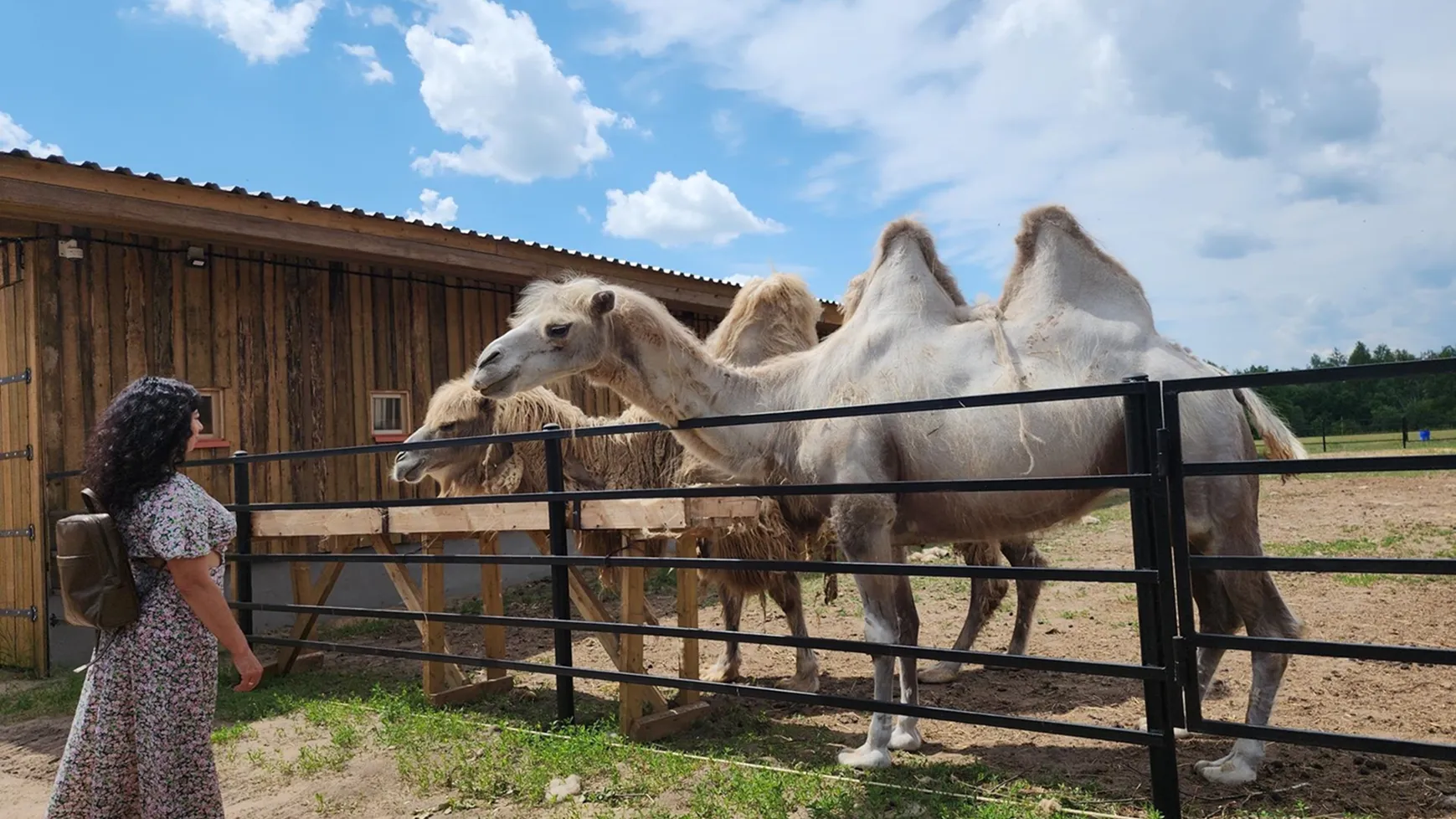 Фото: REGIONS/Александр Степушкин