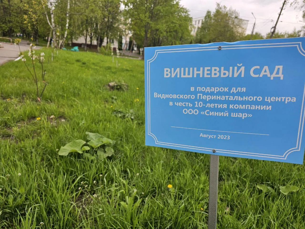 Фото: ГБУЗ МО «Видновский перинатальный центр»