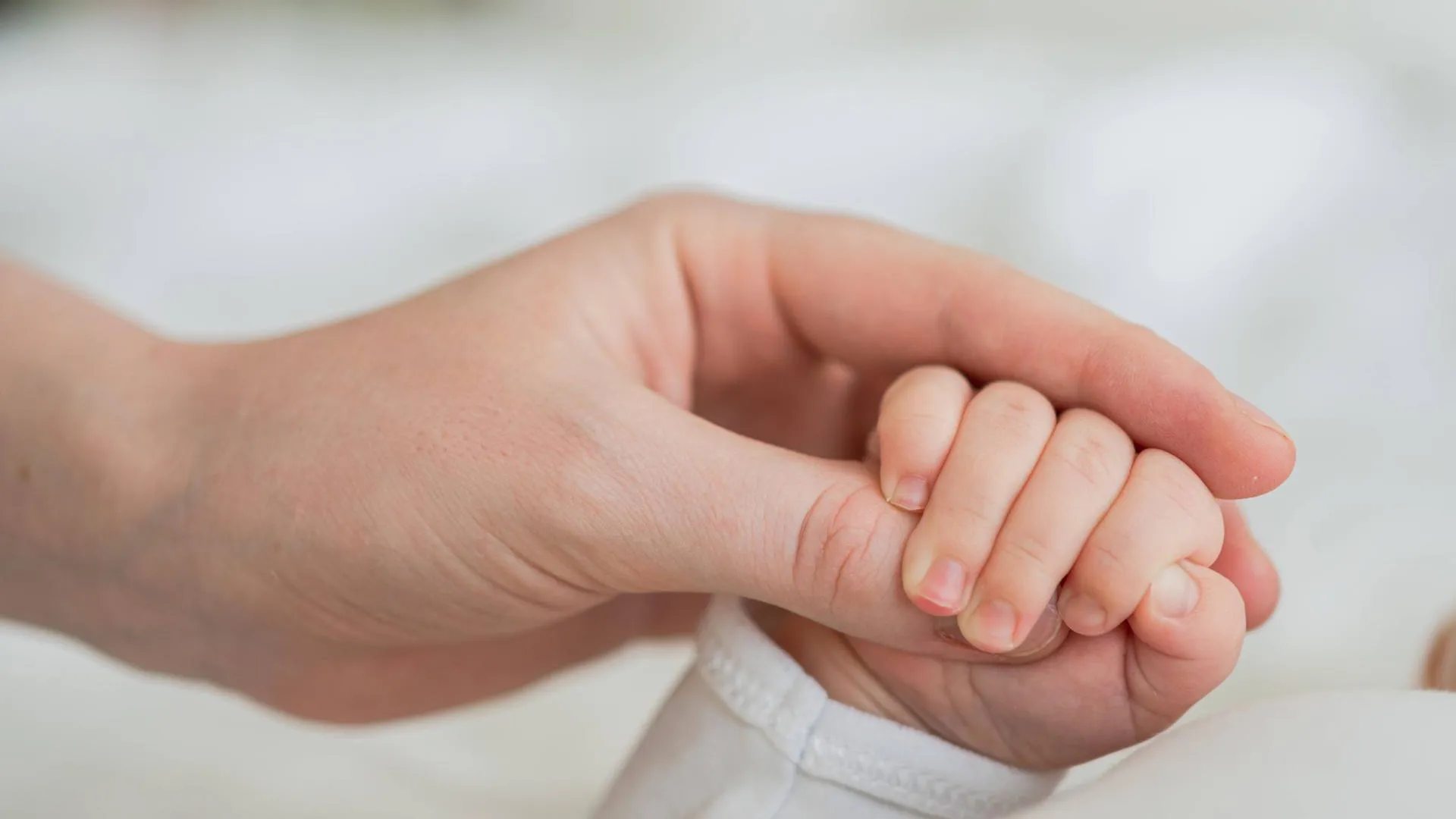 IMAGO/Zoonar.com/Iuliia Zavalish