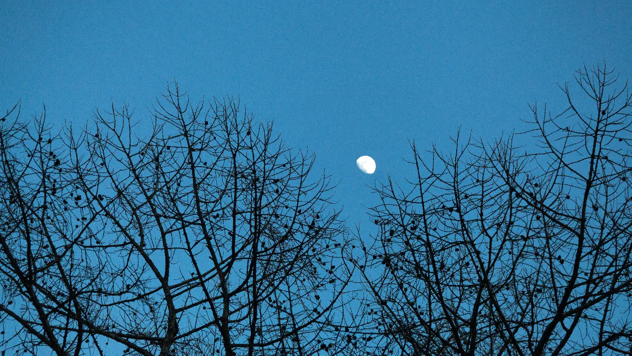 медиасток.рф