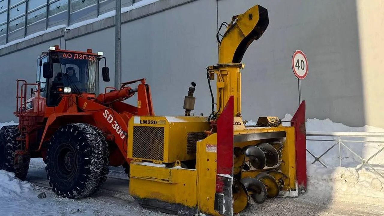 t.me/artsuvorov_live