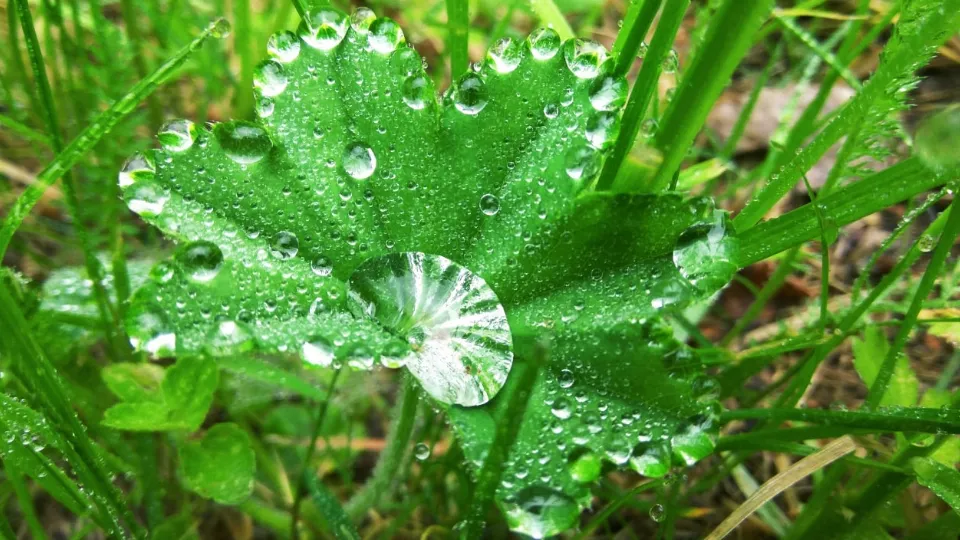 Фото: REGIONS/Татьяна Бесаева