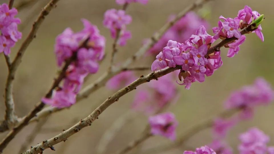 Фото: Ольга Калинина