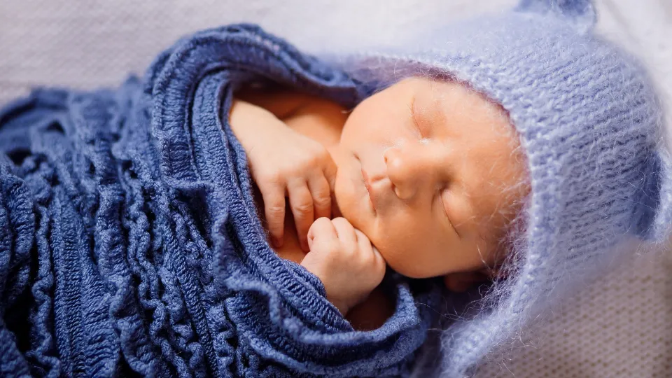 Фото: freepik.com