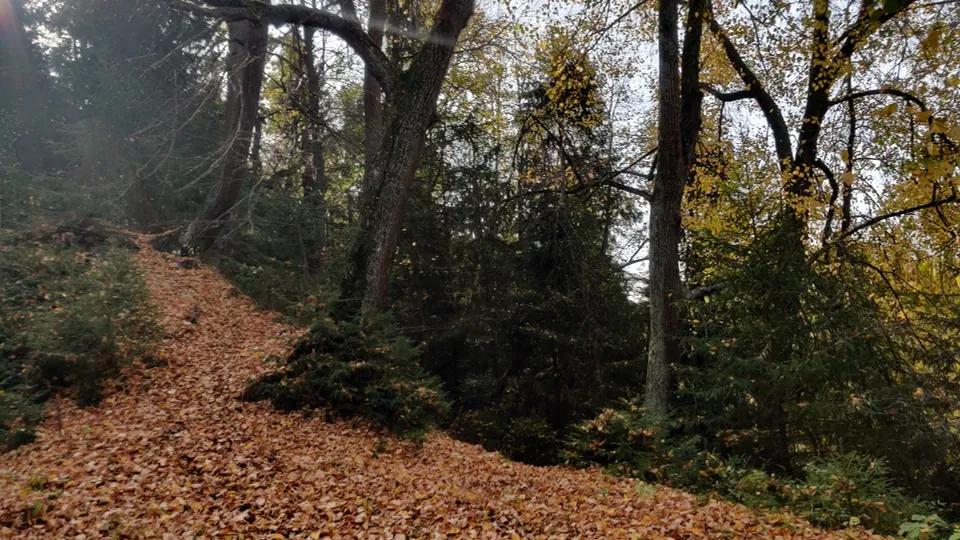 Фото: МедиаБанк Подмосковья/Екатерина Мелкозёрова