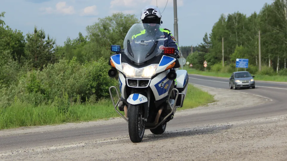 Фото: REGIONS/Василий Тремасов