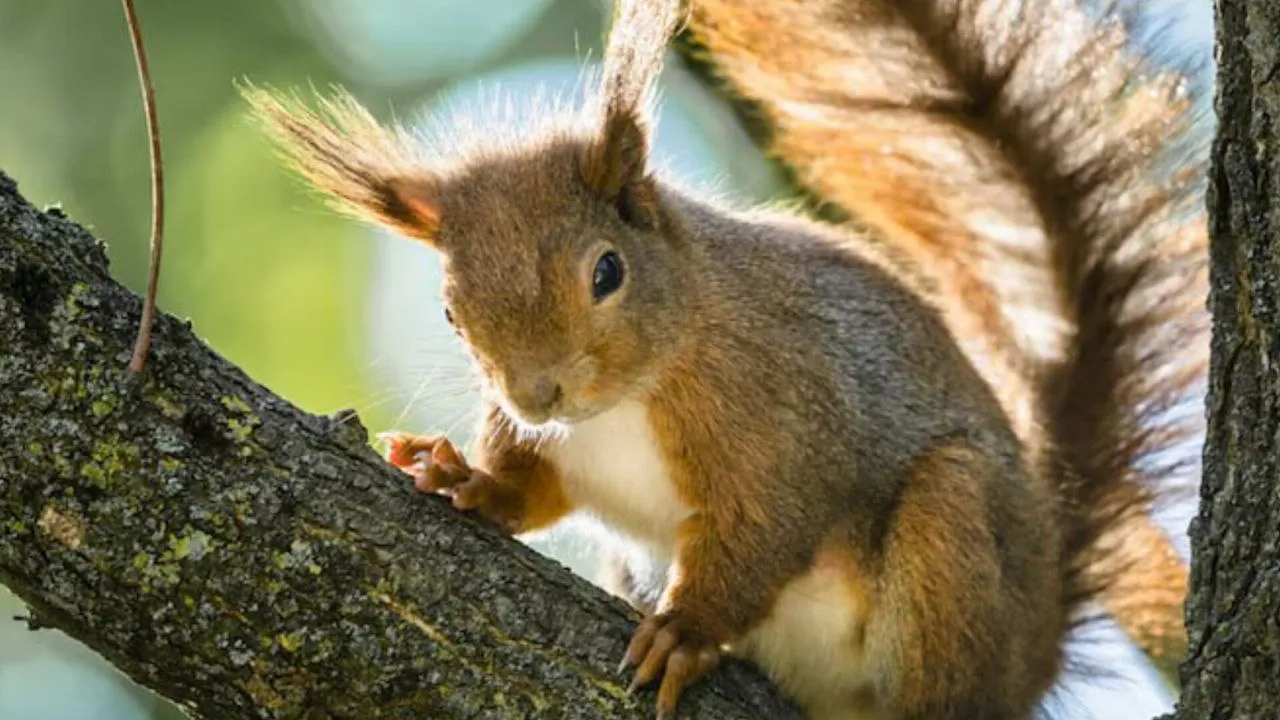 Фото: freepik.com