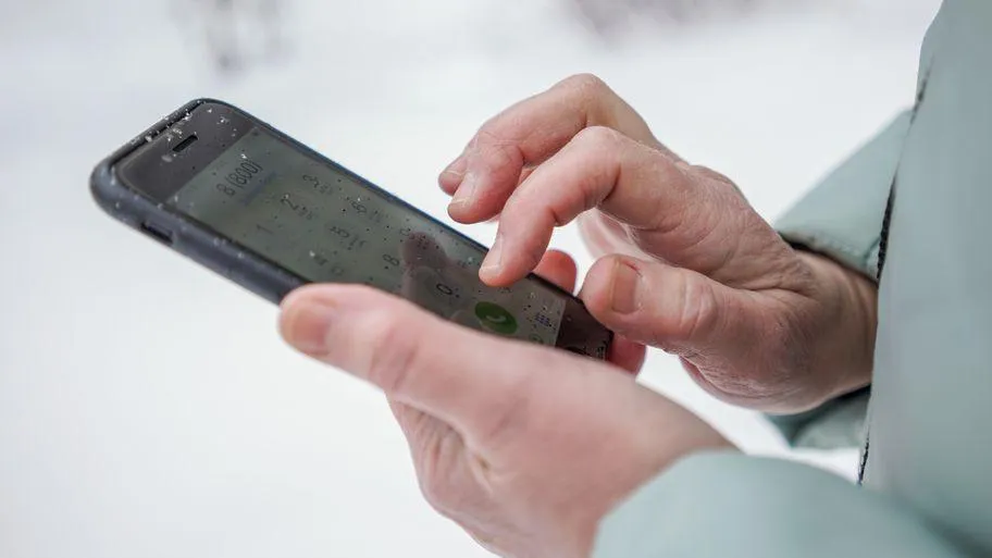 Фото: Медиабанк Подмосковья