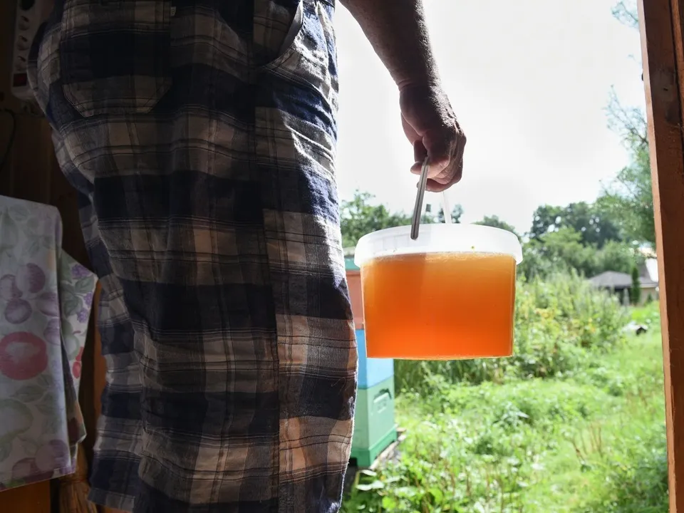 Фото: медиасток.рф