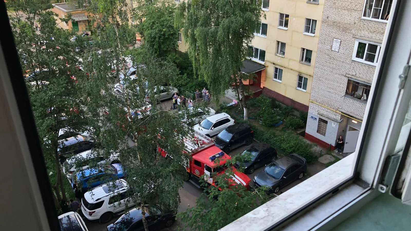 Фото: ГКУ МО «Мособлпожспас»