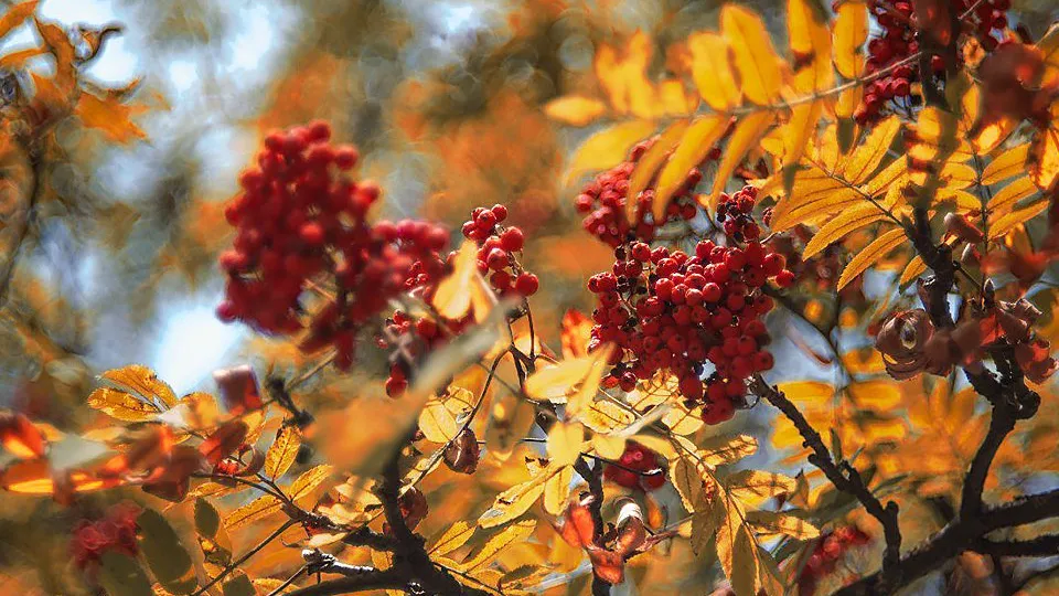 Фото: REGIONS/Роман Малышенко