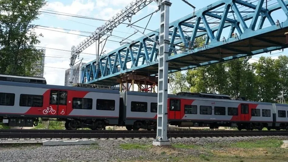 Фото: Пресс-служба администрации г.о. Химки