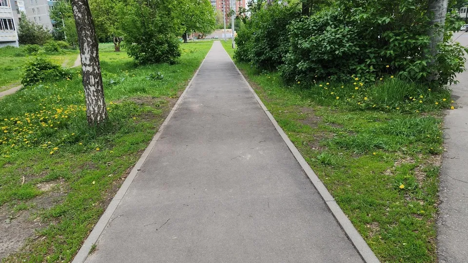 Фото: Ольга Сычева