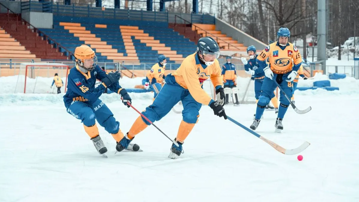 Фото: пресс-служба администрации г.о. Красногорск