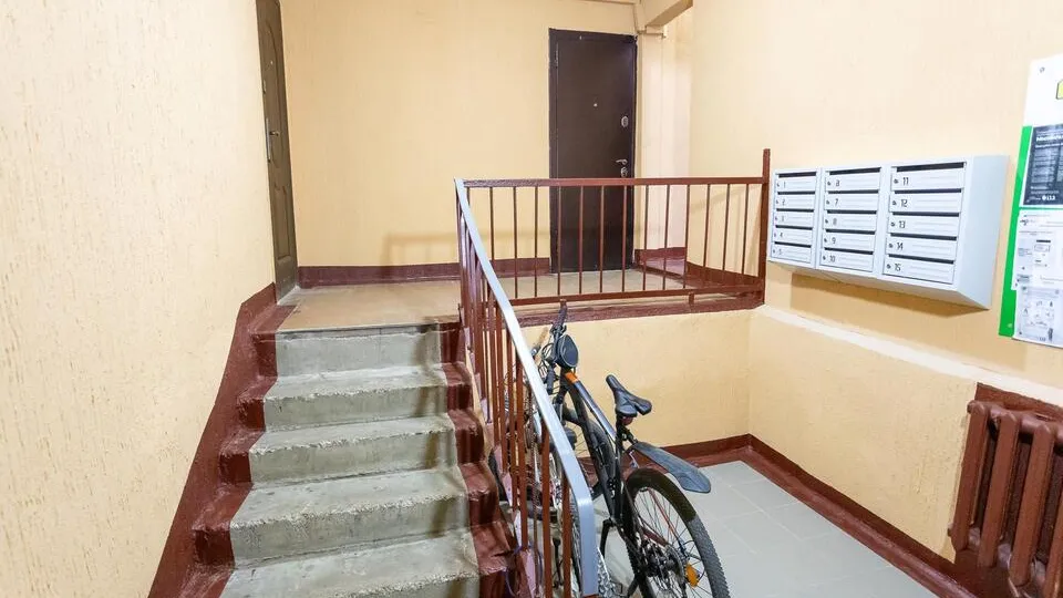 Фото: пресс-служба администрации г.о. Кашира