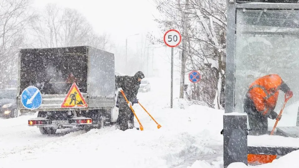 Фото: t.me/AnnaKrotova_Lobnya