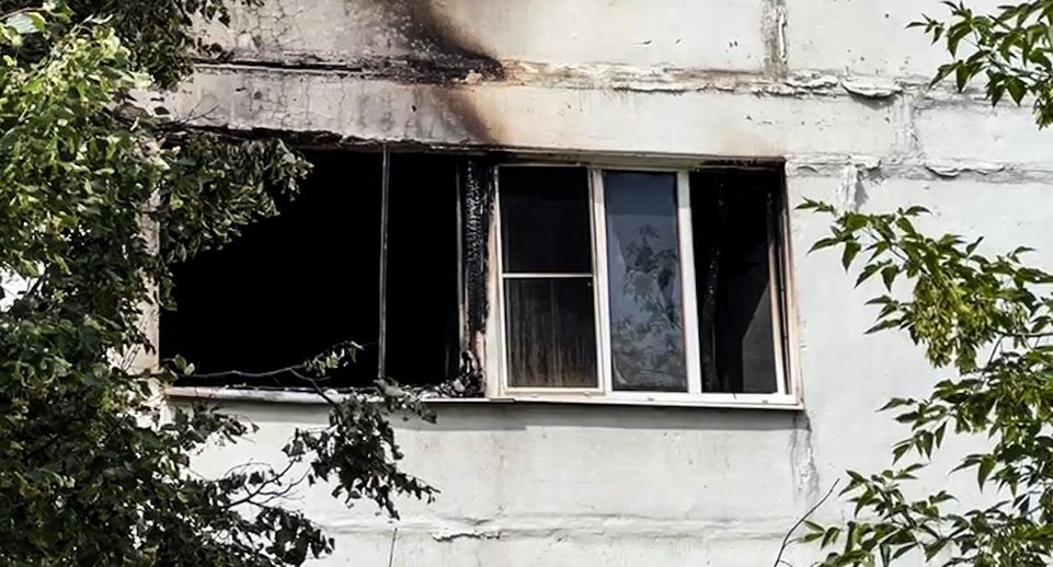 Жертвой пожара в многоэтажке Егорьевска стал задохнувшийся от дыма кот