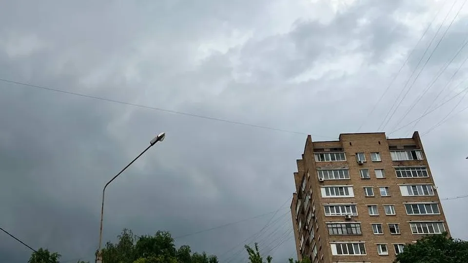 Фото: Елена Фурман