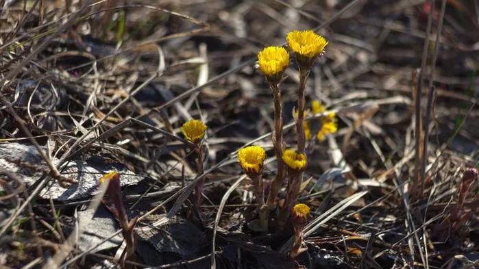 медиасток.рф