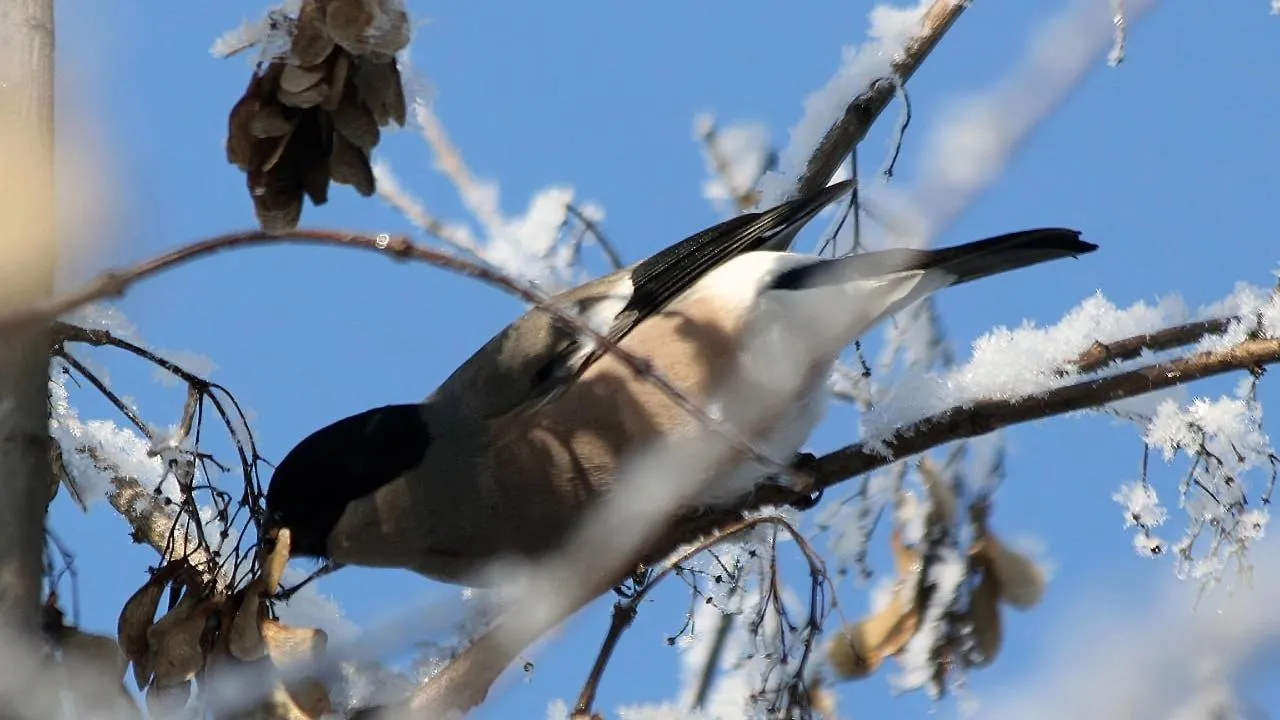 личный архив Константина Кошелева